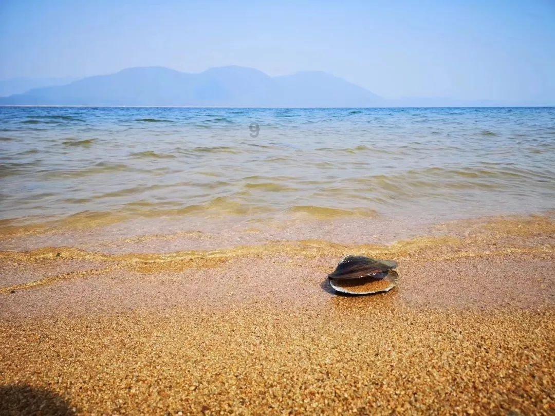 沪江开心词场